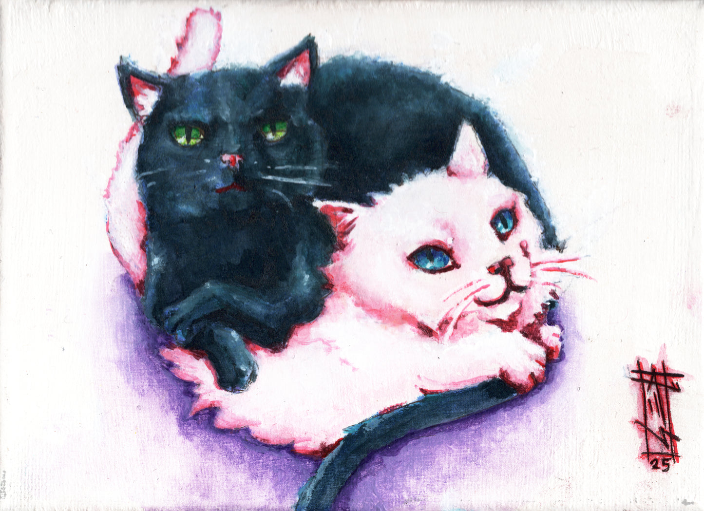 8x10 cat print